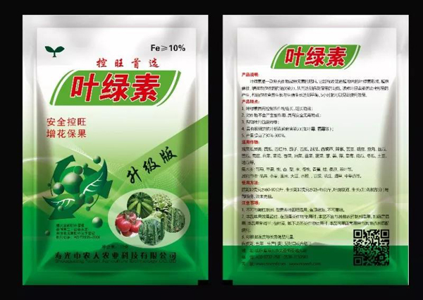 西葫芦种子 西葫芦种子