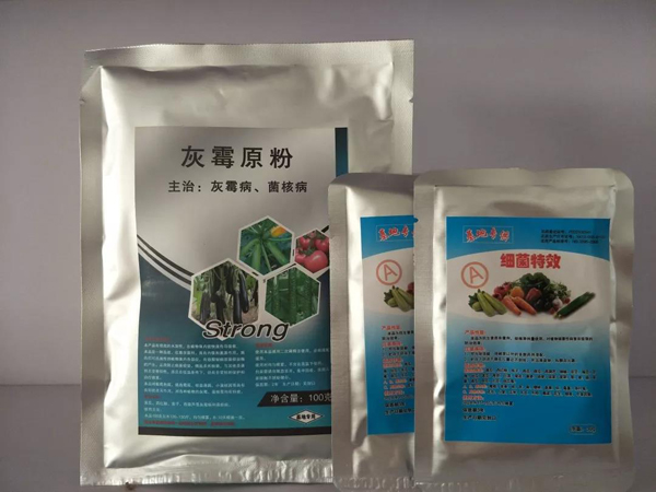 西葫芦种子 西葫芦种子