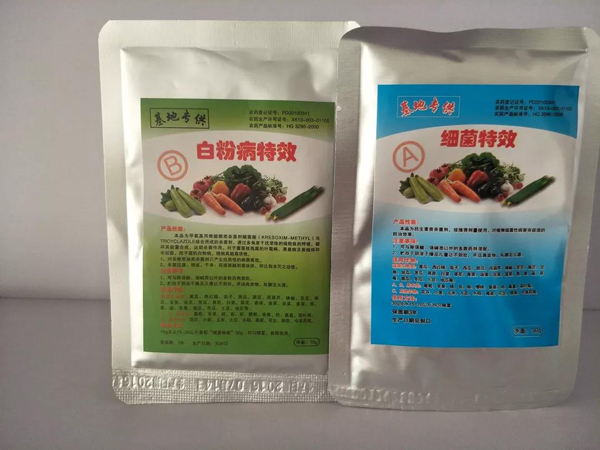 西葫芦种子 西葫芦种子