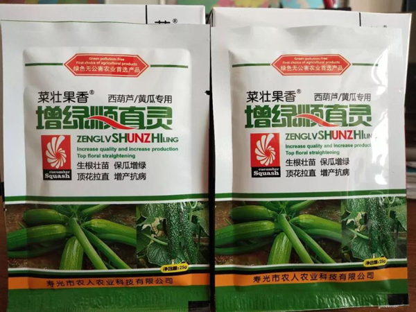 西葫芦种子 西葫芦种子