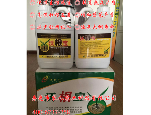 冲施肥—沃根宝